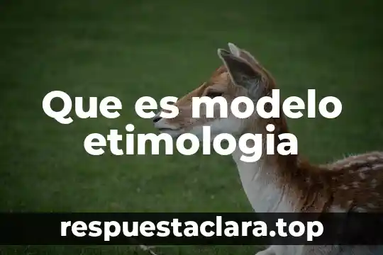 Qué es el término etimología 5 Que es modelo etimologia