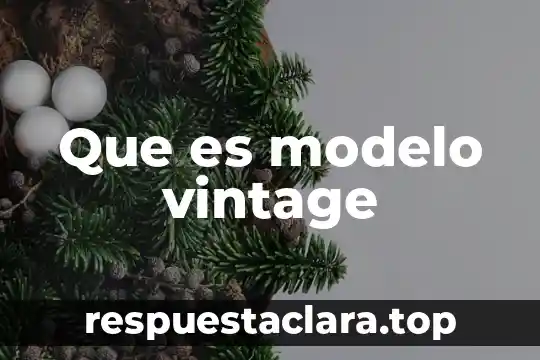 Que es modelo vintage