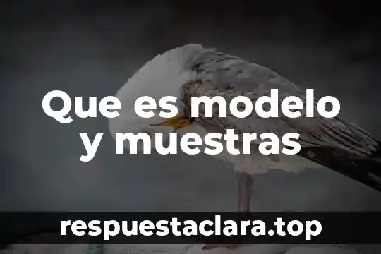Que es modelo y muestras