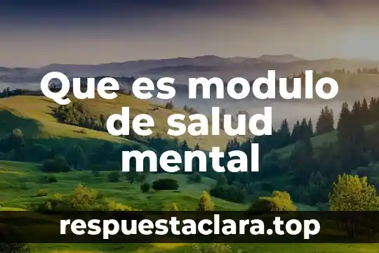 Que es modulo de salud mental