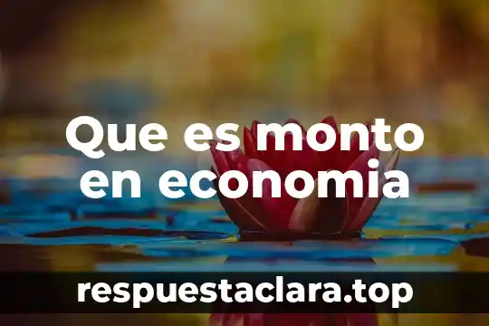 Que es necesidad libro fundamento de economia 3 Que es monto en economia