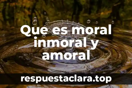 Que es moral inmoral y amoral