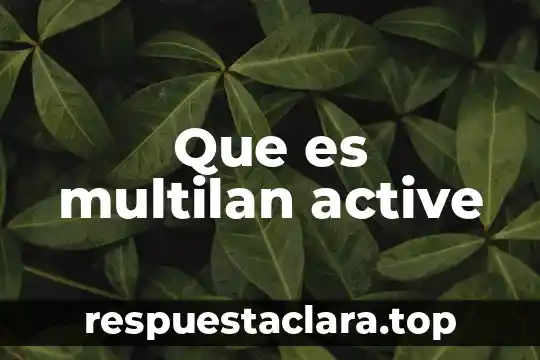 Significado bien definido de que es desigualdad 6 Que es multilan active