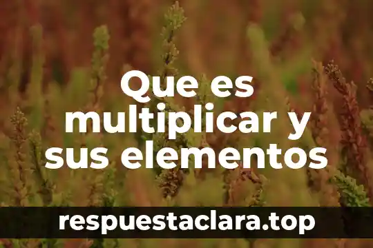 Elementos organizacionales que es 6 Que es multiplicar y sus elementos