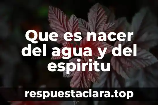 Que significa que es bajarse al agua 7 Que es nacer del agua y del espiritu