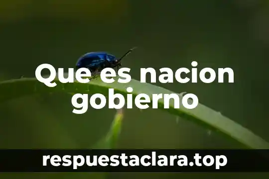 Que es nacion gobierno
