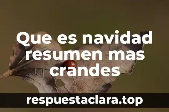 Que es navidad resumen mas crandes