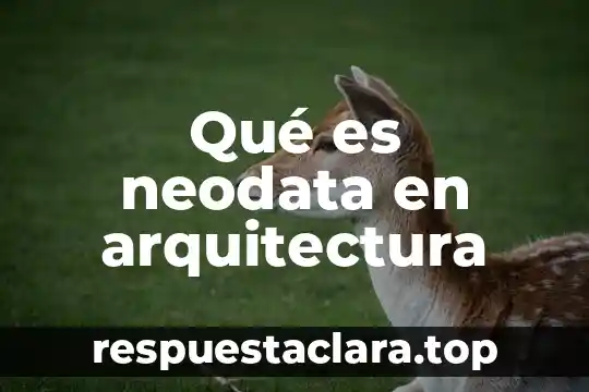 Qué es neodata en arquitectura