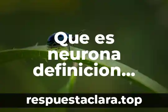 Que es neurona definicion segun un autor