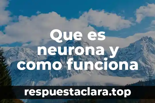 Que es neurona y como funciona