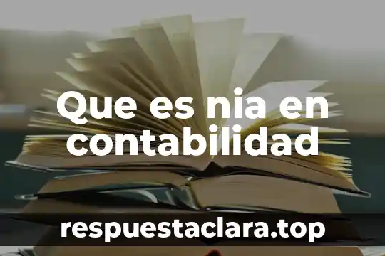 Que es nia en contabilidad
