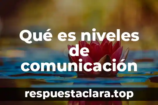 Qué es niveles de comunicación