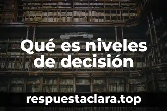 Qué es niveles de decisión