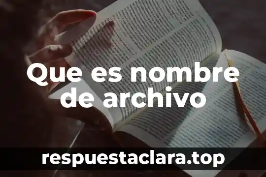 Que es un archivo wsd 3 Que es nombre de archivo