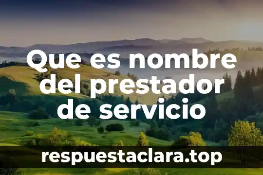 Que es un prestador de servicios turisticos segun los libros 4 Que es nombre del prestador de servicio