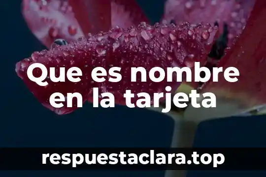 Iinbestigar que es un texto informatibo 5 Que es nombre en la tarjeta
