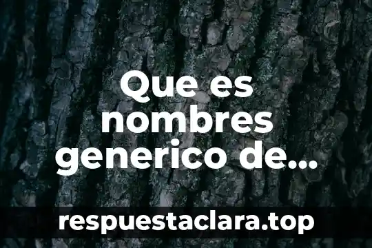 Nombres de cuerpos geométricos y que es vértice 5 Que es nombres generico de empresas