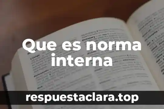 Que es norma interna