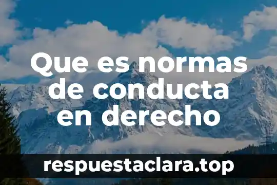 Que es normas de conducta en derecho