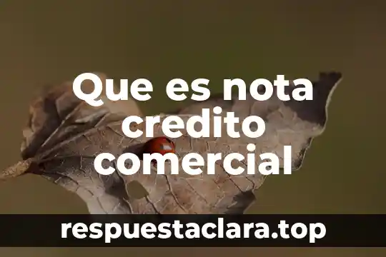 Que es exportacion comercial 8 Que es nota credito comercial