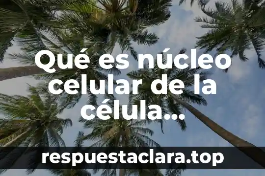 Qué es núcleo celular de la célula eucariota
