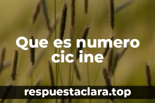 Qué es número cardinal y ordinal 5 Que es numero cic ine