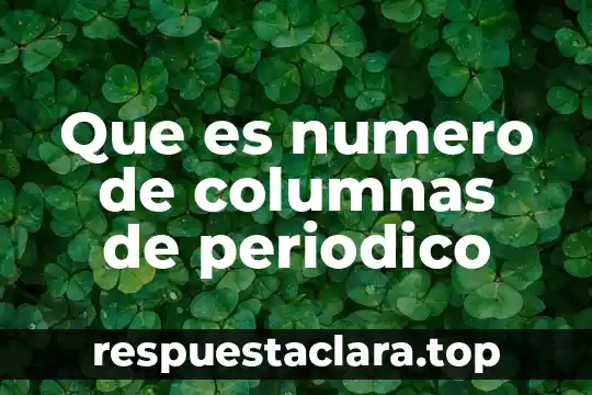 Que es el nie número de identidad de extranjero 3 Que es numero de columnas de periodico