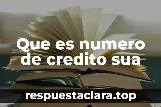 Qué es número cívico 3 Que es numero de credito sua