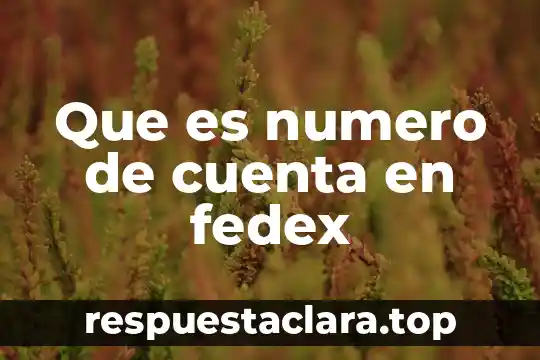 Qué es número de expediente 4 Que es numero de cuenta en fedex