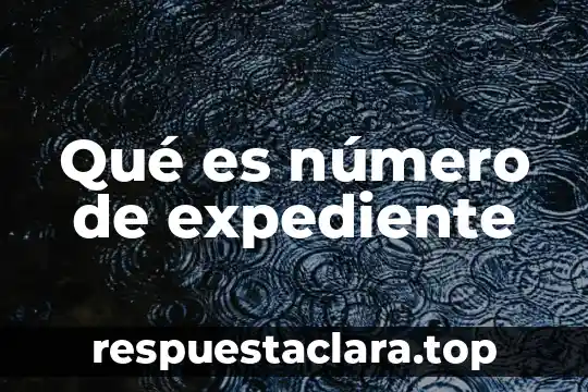 Qué es un concepto de número atómico 6 Qué es número de expediente