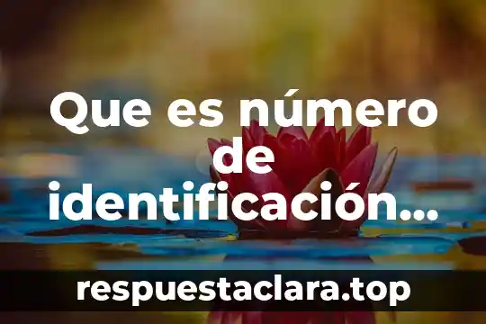 Que es número de identificación de cuenta ivr en dhl
