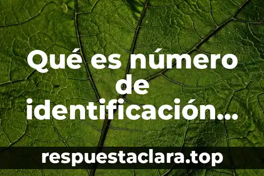 Qué es número de identificación nacional México 3 Qué es número de identificación de cuenta IVR Visa