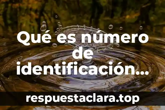 Qué es número de identificación de cuenta IVR Visa 3 Qué es número de identificación nacional México