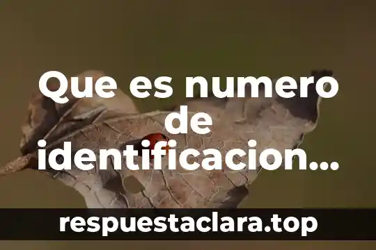Que es numero de identificacion personal