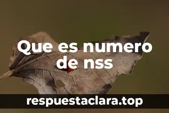 Que es el nie número de identidad de extranjero 4 Que es numero de nss