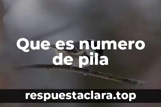 Que es numero de pila