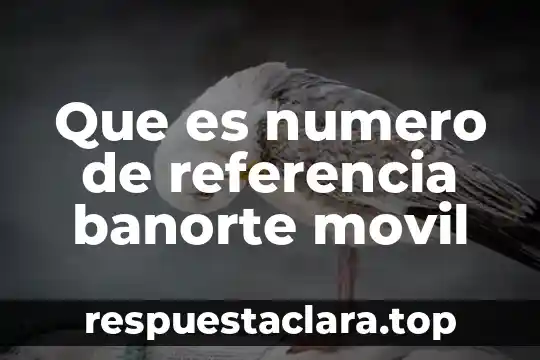 Que es numero de referencia banorte movil