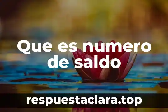 Qué es instrumento número 3 Que es numero de saldo