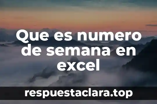 Número de chasis que es 4 Que es numero de semana en excel