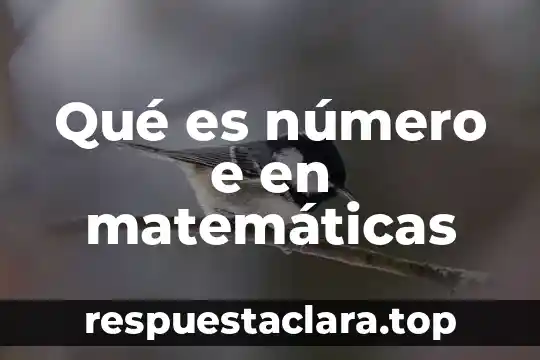 Que es un número natural ejemplos 5 Qué es número e en matemáticas