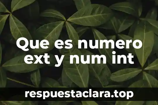 Que es numero ext y num int
