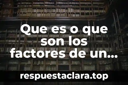 Que es o que son los factores de un producto