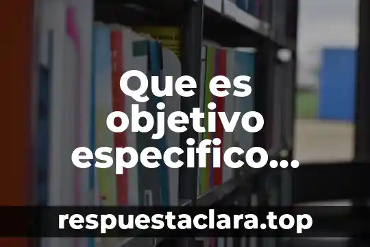 Que es significado objetivo 8 Que es objetivo especifico ejemplo