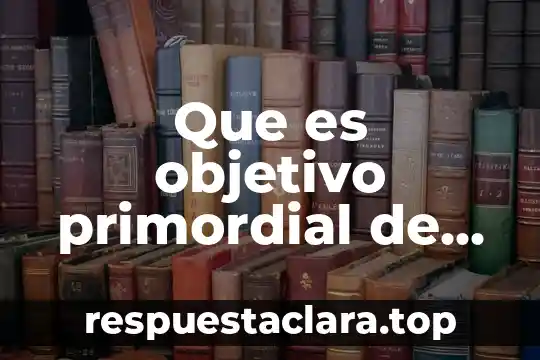 Que es significado objetivo 4 Que es objetivo primordial de la materia