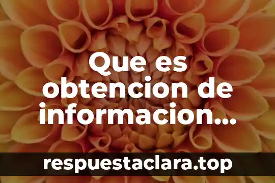 Que es significa informacion 4 Que es obtencion de informacion tecnica
