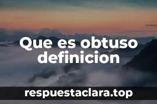 Qué es la representación espacial definición 4 Que es obtuso definicion