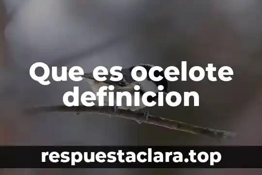 Que es ocelote definicion