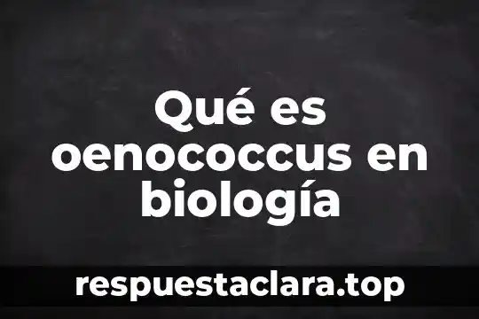 Qué es oenococcus en biología