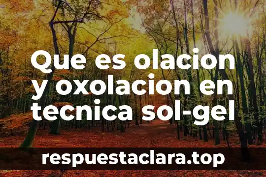 Que es la asesoria tecnica en una empresa 7 Que es olacion y oxolacion en tecnica sol-gel