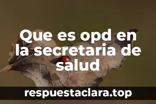 Que es ser regularizado en secretaria de salud 8 Que es opd en la secretaria de salud
